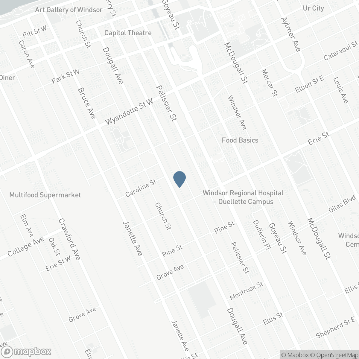 933 VICTORIA, Windsor, Ontario N9A 4N5